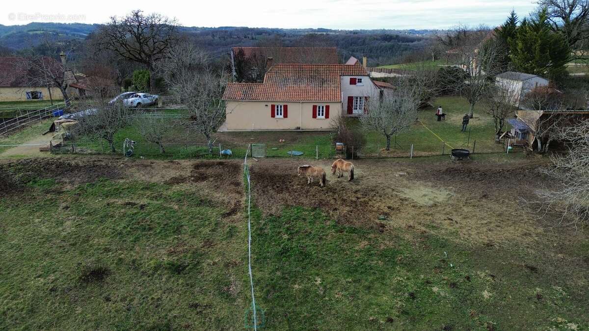 Maison et gite à Plazac, Périgord noir. - photo 7
