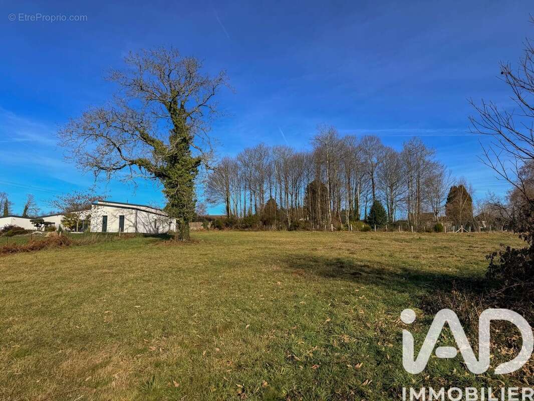 Photo 7 - Terrain à MOISSANNES