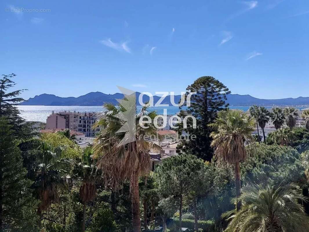 Cannes - Basse Californie 3P Vue mer - photo 2