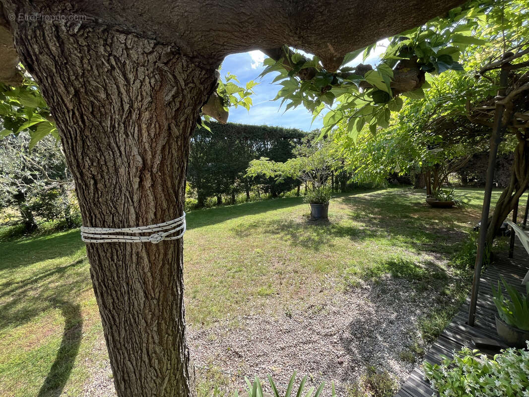 Autre à PUGET-SUR-ARGENS