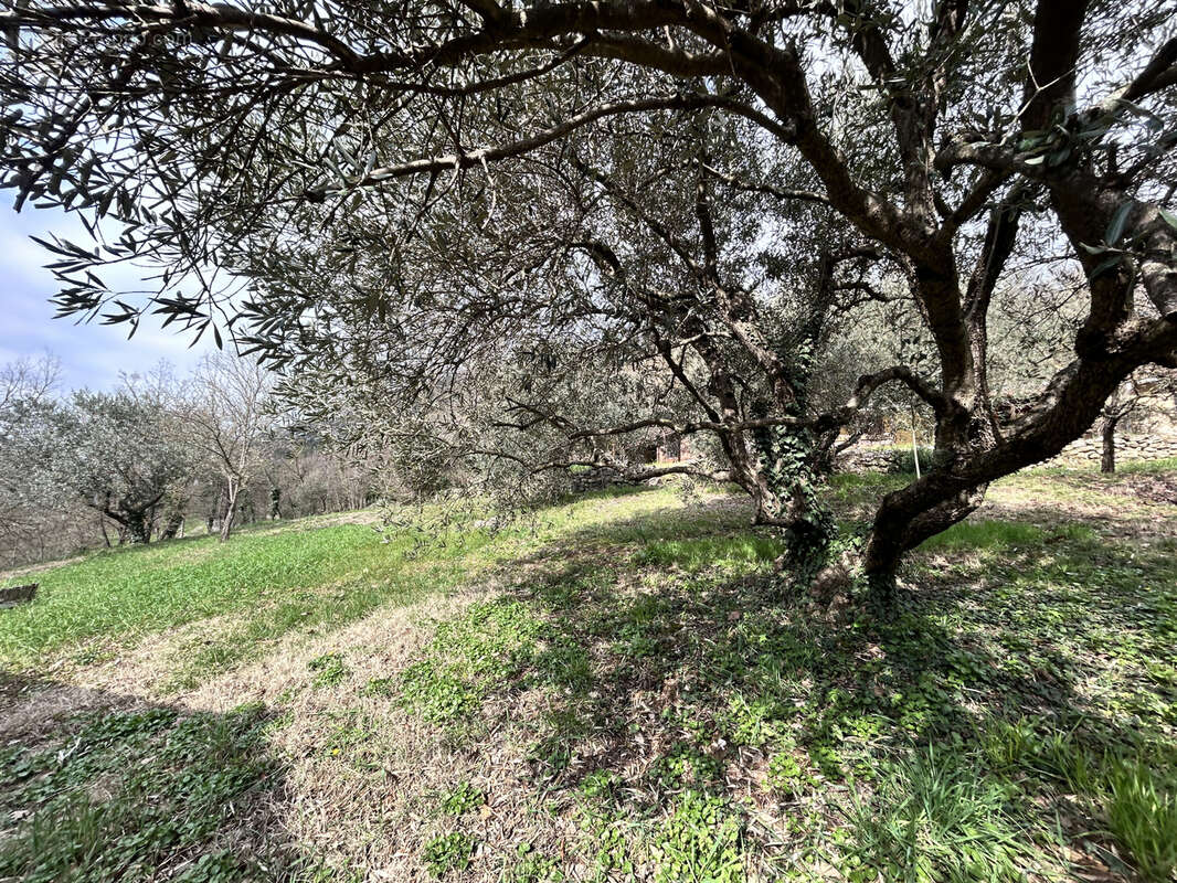 En Cévennes, Maison avec gite et appartement, à vendre - photo 14