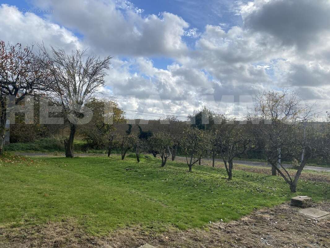 IMG_9643 - Maison à MESANGER