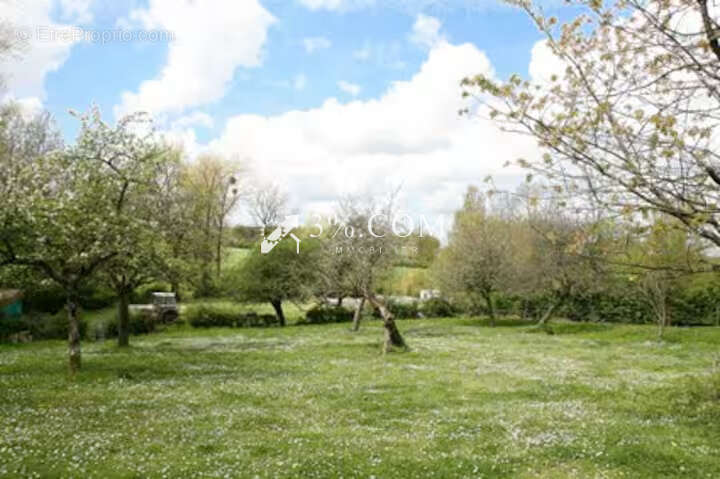 Maison à LOTTINGHEN