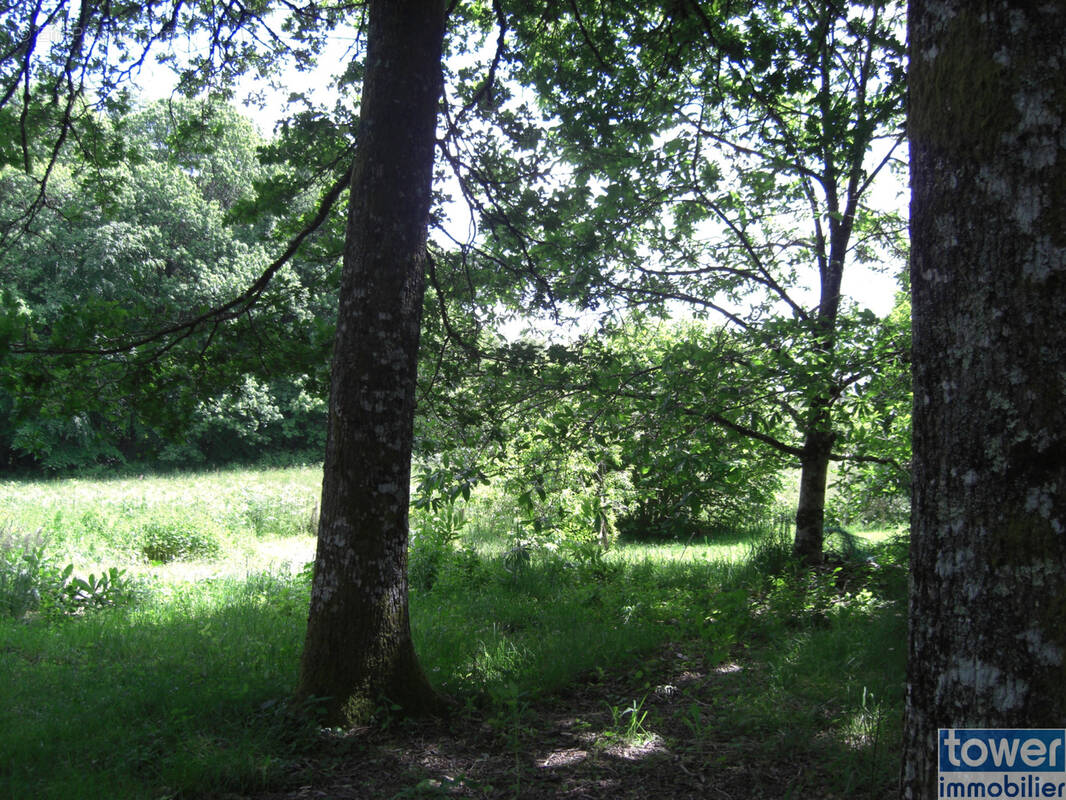 Terrain à MIALET