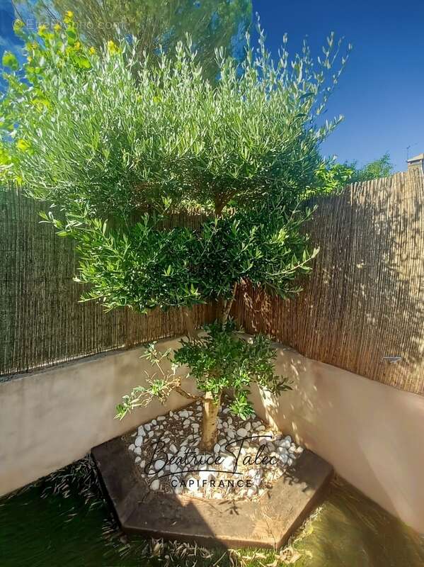 Maison récente – 98 m² – 3 chambres + grand bureau – Terrasse & jardin – DPEB 10 minutes d'aix-en-provence. Quartier calme et re - photo 10