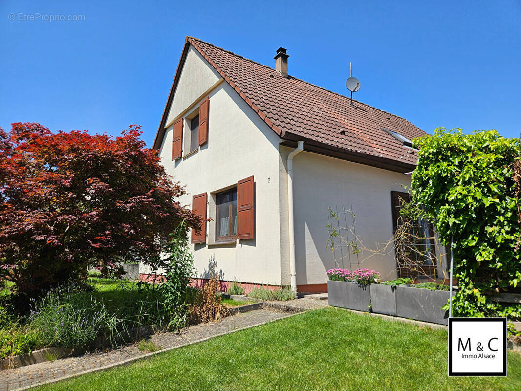 Maison à WINTZENBACH