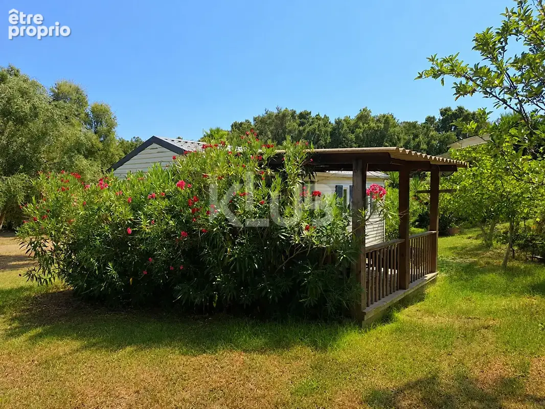 Propriété de loisirs à vendre à Sainte Lucie de PORTO VECCHIO - photo 13