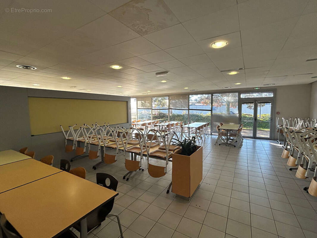 Commerce à DOUARNENEZ