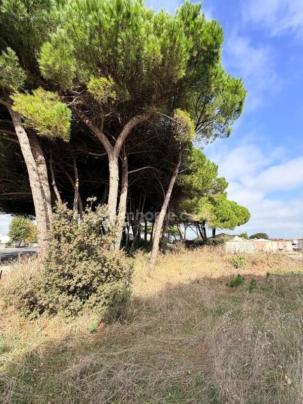 Terrain à LE BOIS-PLAGE-EN-RE