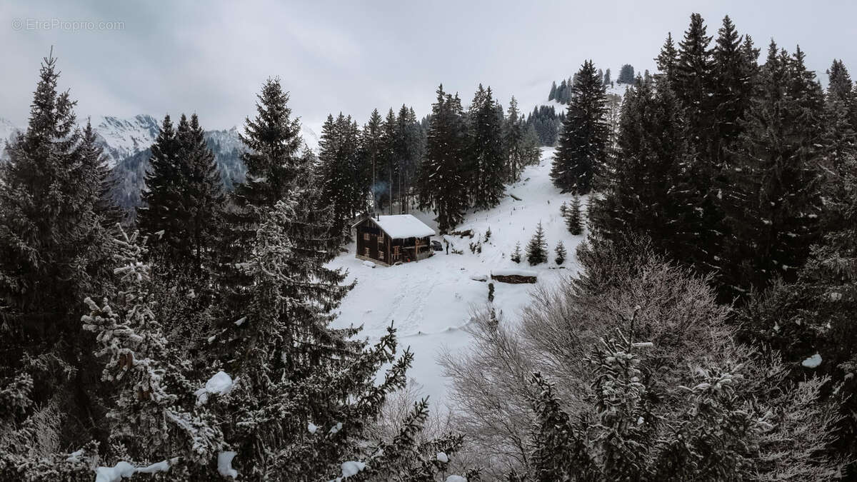 Samoëns - Chalet d'alpage pour les amoureux de la nature - photo 8