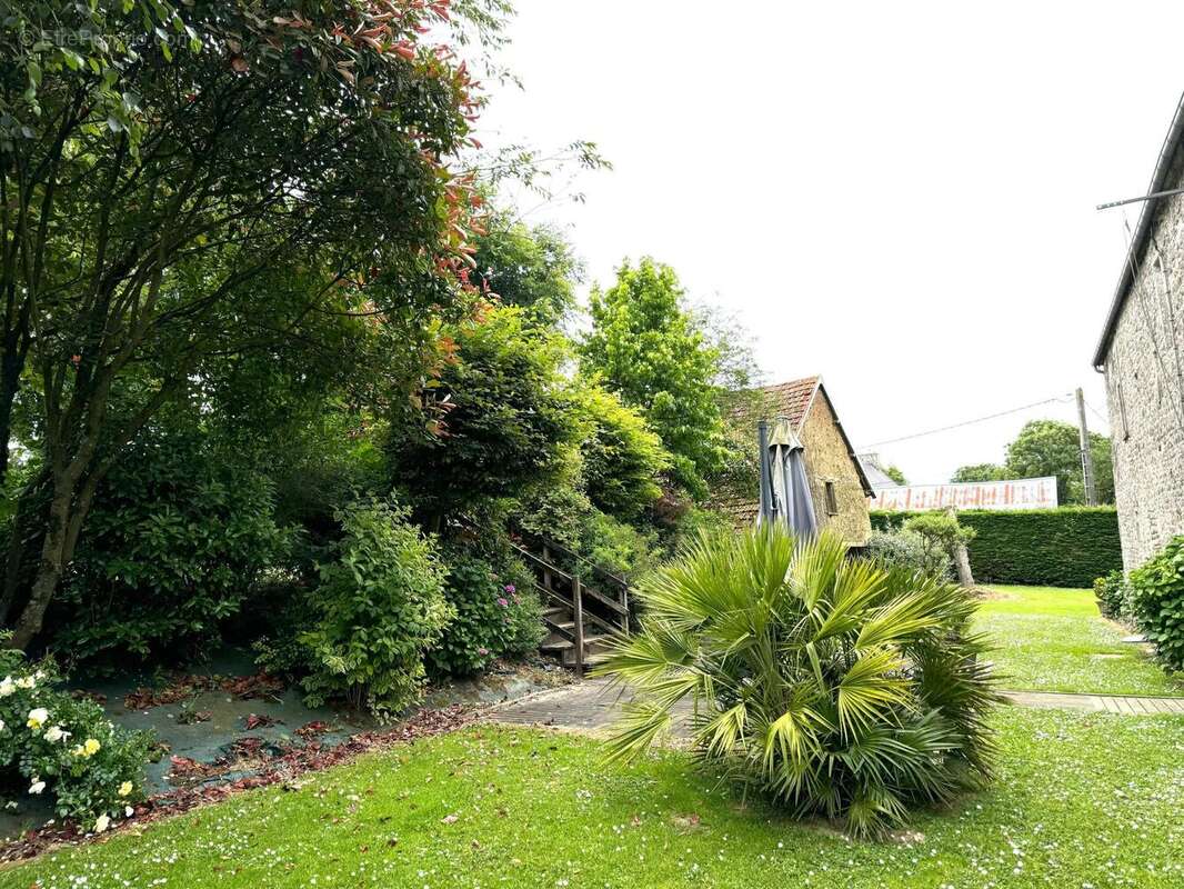 Photo 2 - Maison à DOVILLE