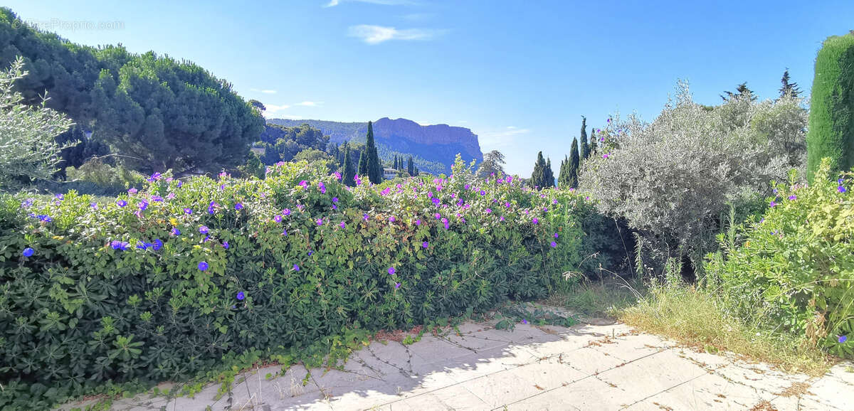 Appartement à CASSIS