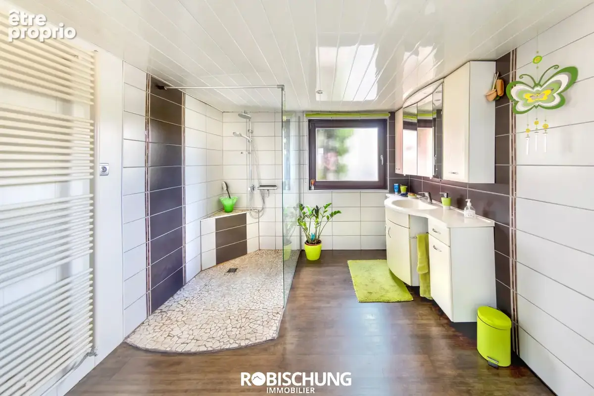 PROCHE HIRSINGUE : Magnifique ensemble immobilier avec fort potentiel locatif - photo 4