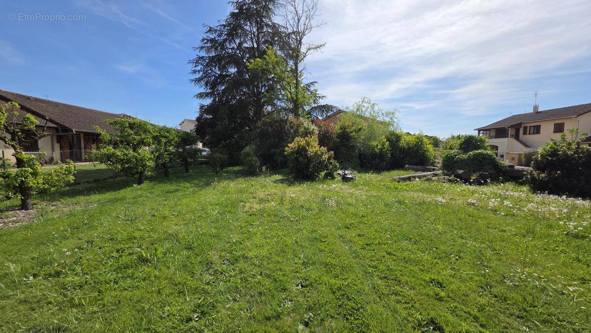 Terrain à VILLARS-LES-DOMBES