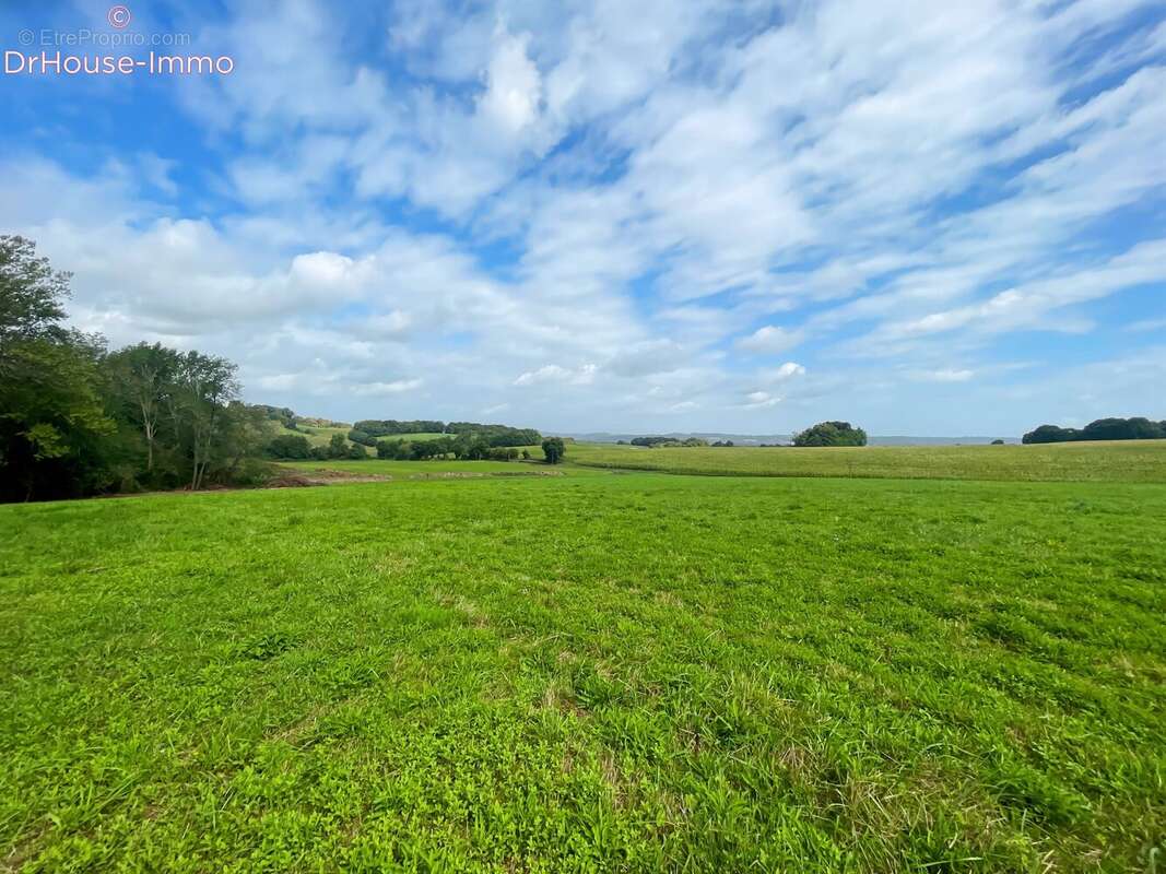 Terrain 4111 m² à Bidache  - photo 12