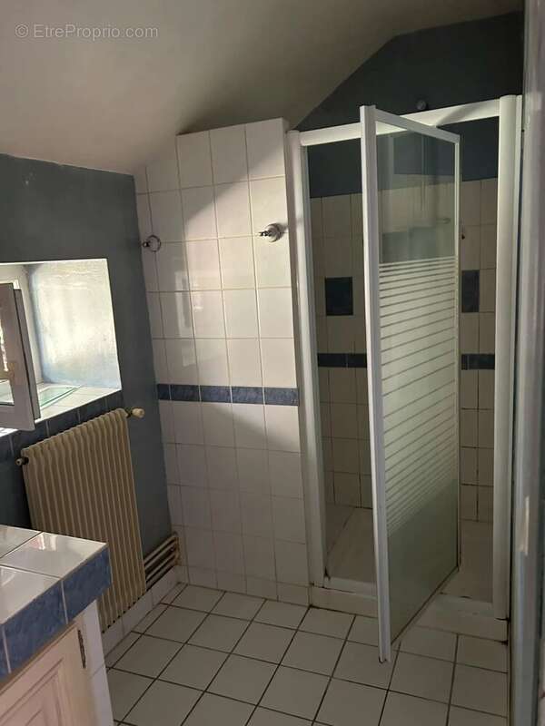 Maison à CHATILLON-SUR-CHER