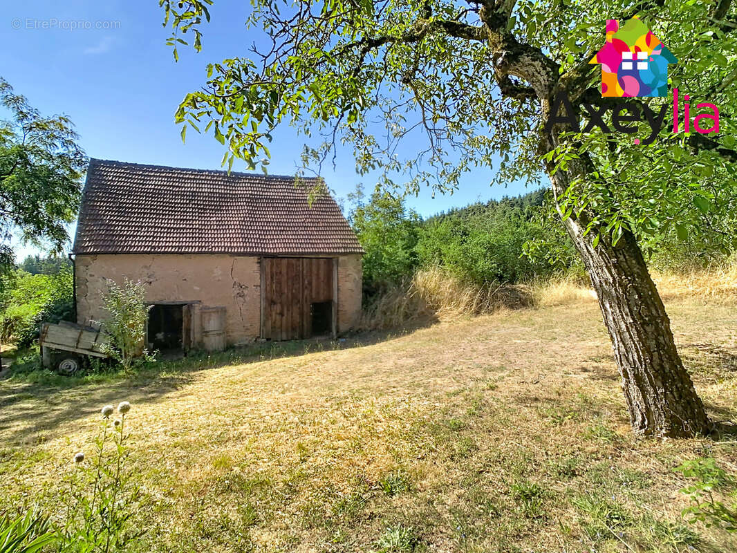 A vendre- proche lapalisse-  maison avec dépendances sur terrain de plus de 2 ha - photo 3