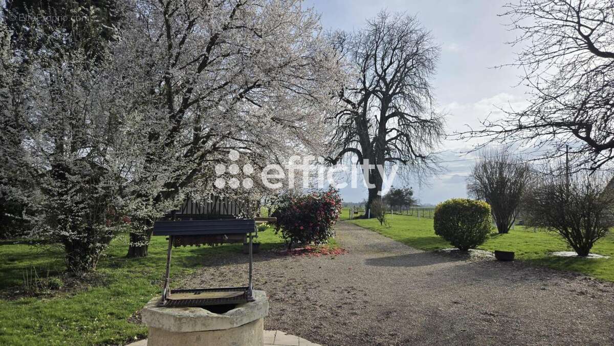 Maison à AMFREVILLE-LA-CAMPAGNE
