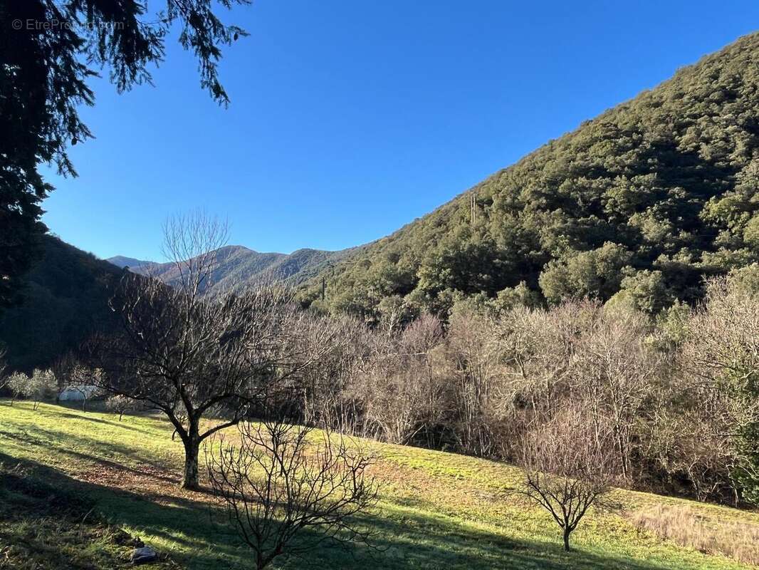 Photo 8 - Maison à SAINT-JEAN-DU-GARD