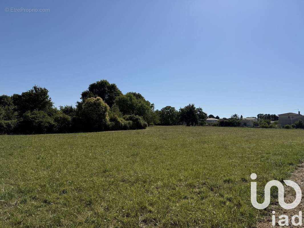 Photo 2 - Terrain à SAINT-MARTIAL-DE-VITATERNE