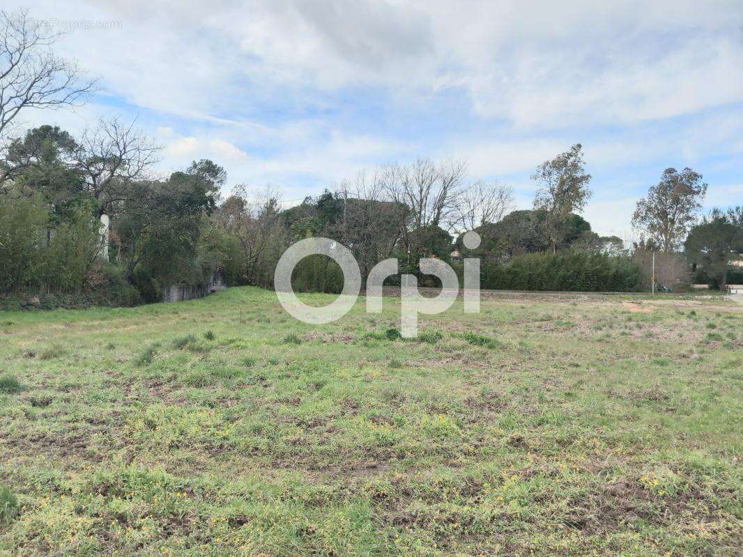 Terrain à PUGET-SUR-ARGENS