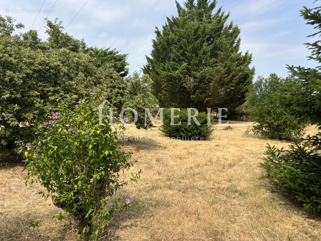 Pavillon de plain-pied avec trois chambres d'une superficie de 114m2 - photo 6