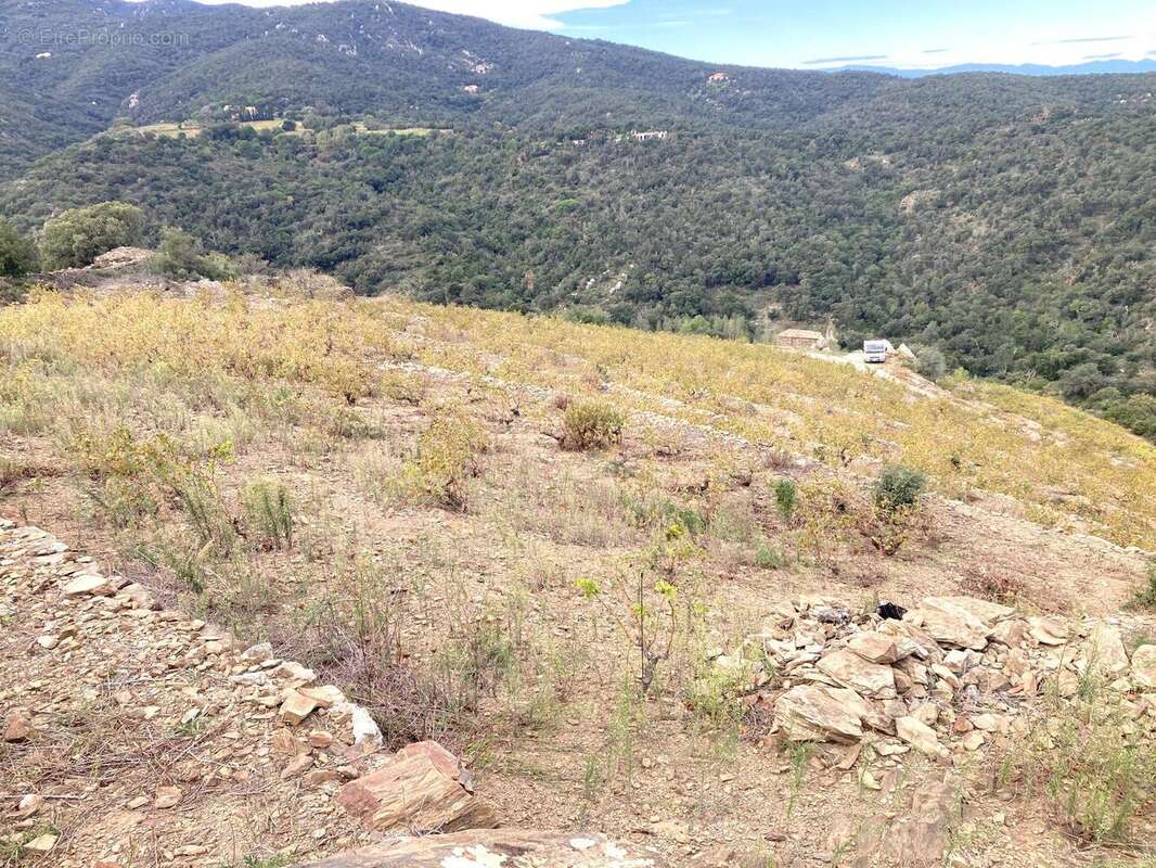 Terrain à COLLIOURE