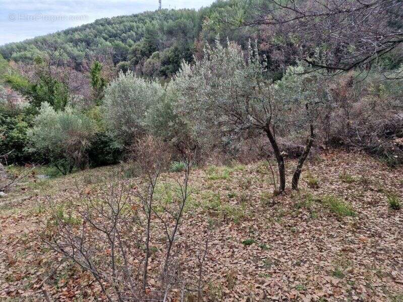 Terrain à DRAGUIGNAN