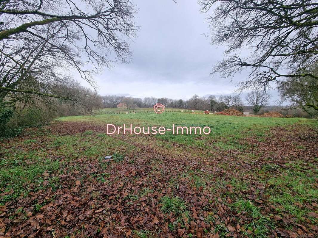 Terrain à SAINTE-ALVERE