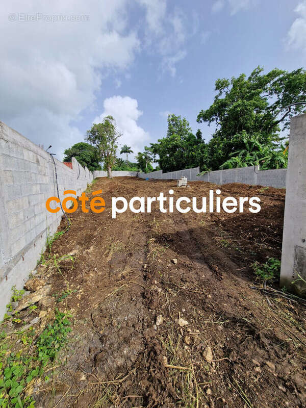 Terrain à PETIT-BOURG