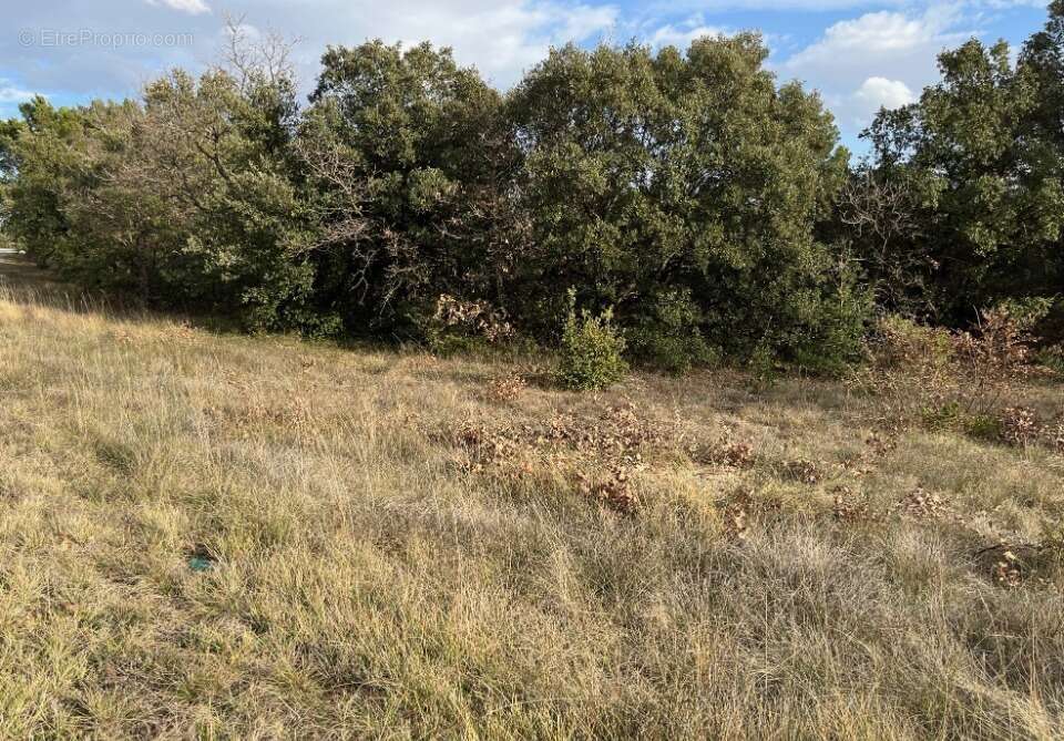 Terrain à GRIGNAN