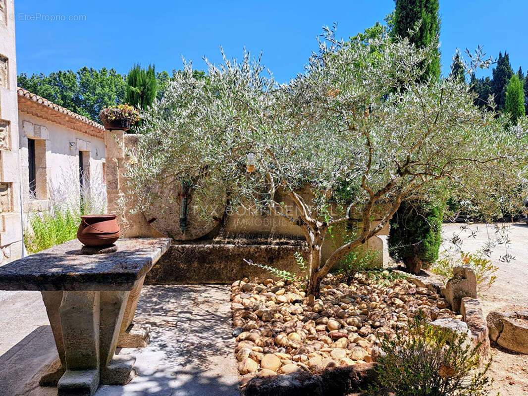 Mas Saint Remy De Provence - photo 2