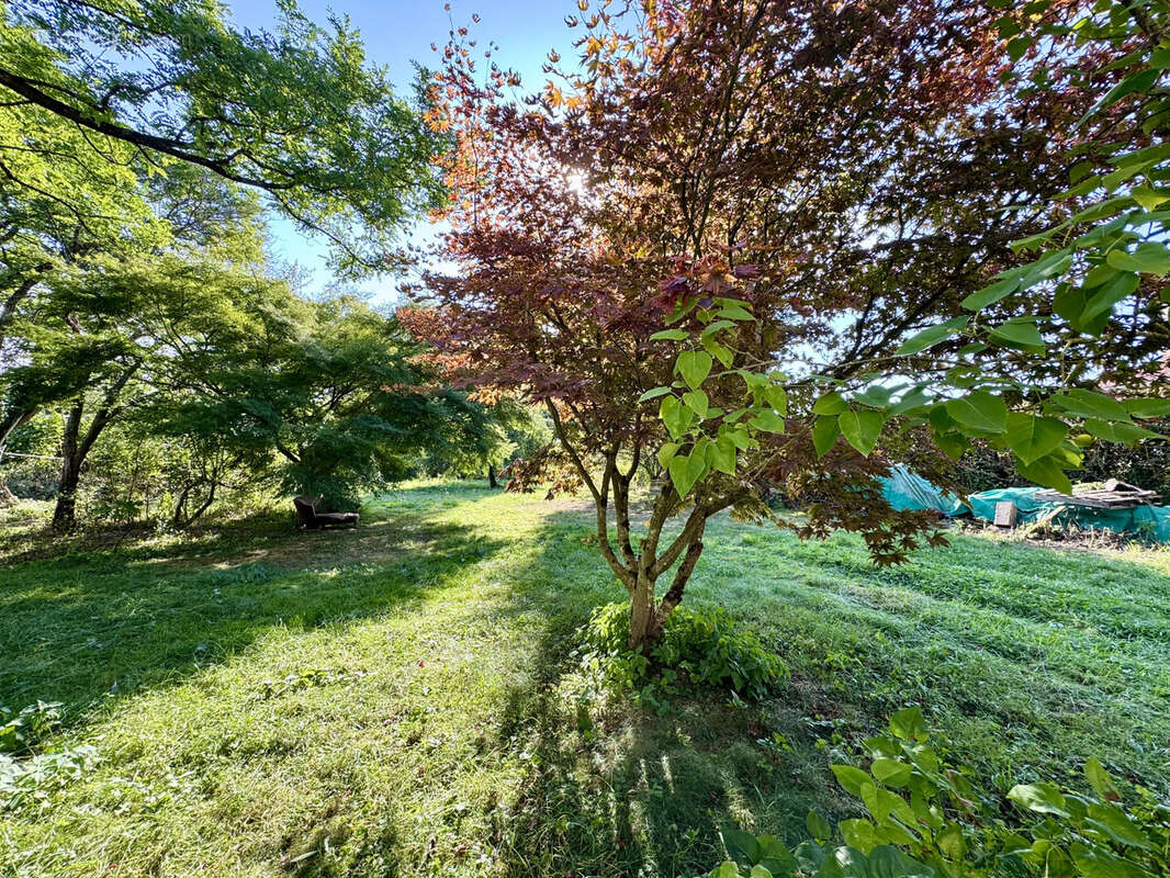 Maison à COULOMMIERS