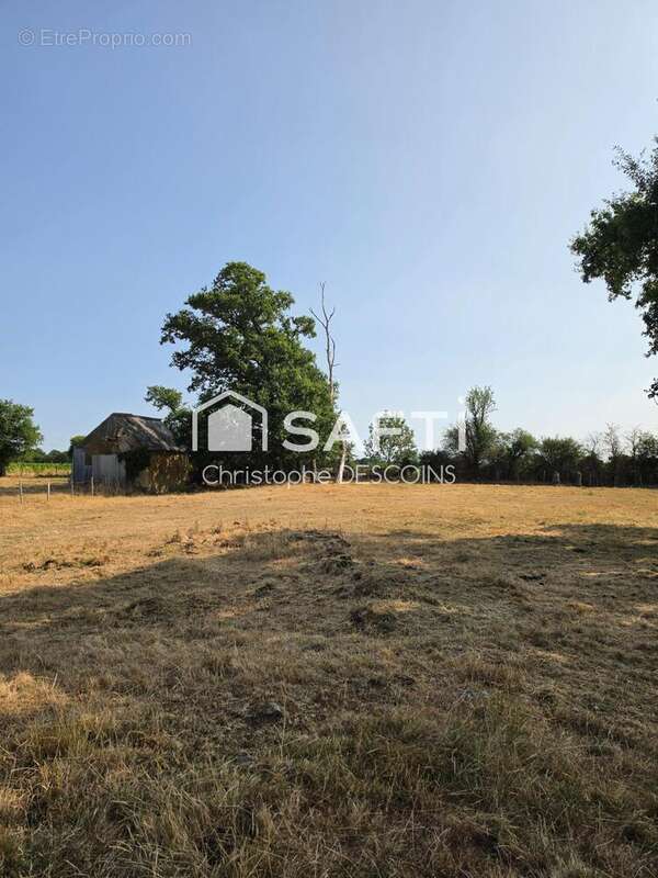 Terrain 96004 m² à Loiron  - photo 9