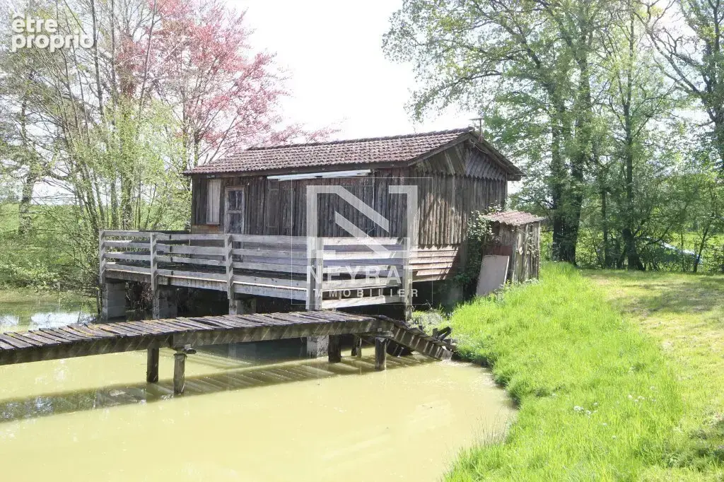 Etang avec sources - photo 5