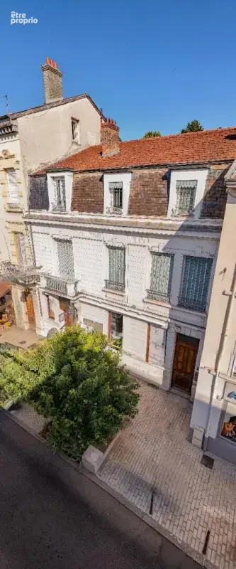 Immeuble - Hôtel particulier + Local commercial à Caluire et Cuire - photo 3