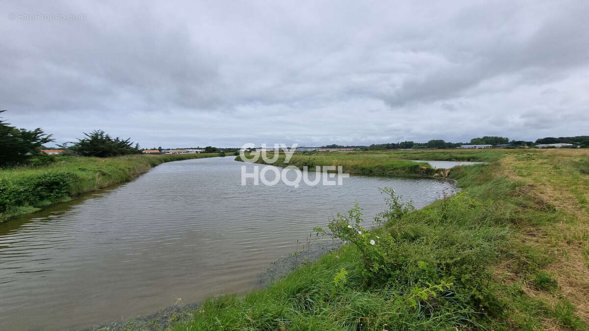 Terrain à SAINT-HILAIRE-DE-RIEZ