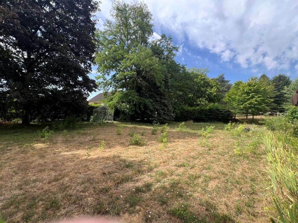 Maison 240 m² à Villiers-Louis  - photo 21