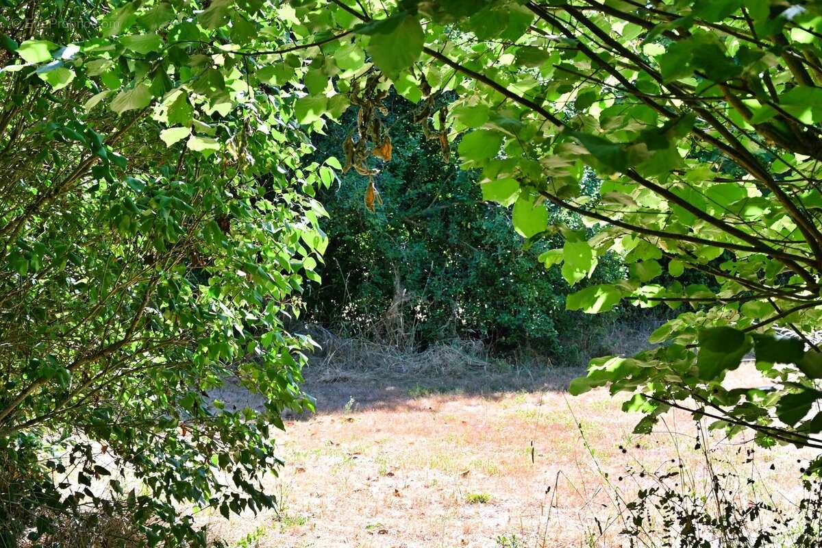 À vendre Aubigny : Projet de rénovation de rêve - photo 66