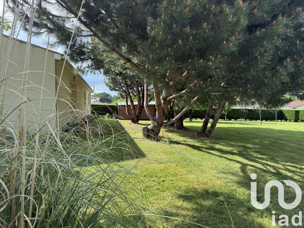 Photo 6 - Maison à JONZAC