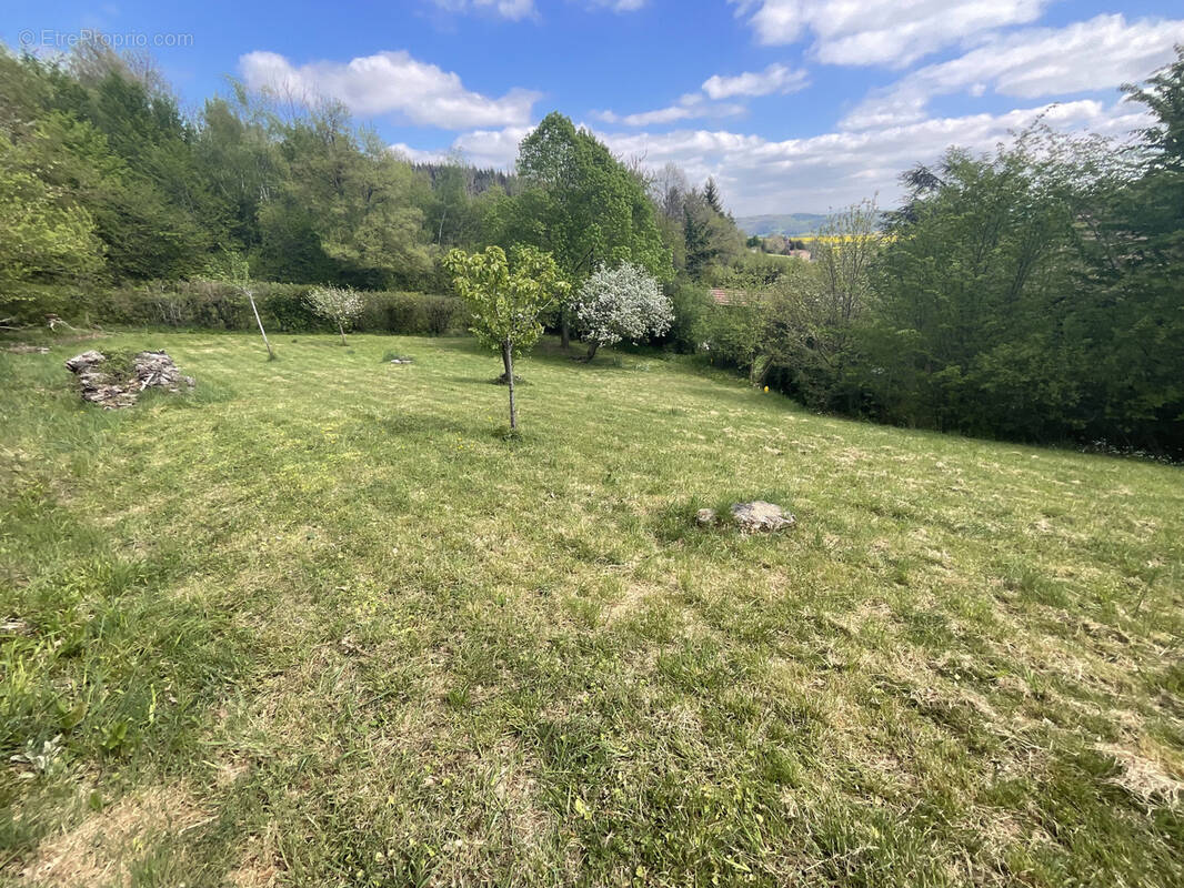 Terrain à LA COTE-SAINT-ANDRE