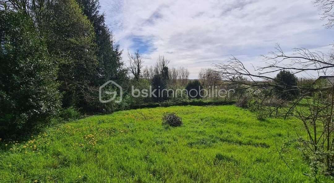 Terrain à MARLES-SUR-CANCHE