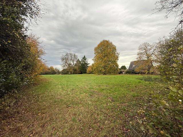 Terrain à LE PLANQUAY