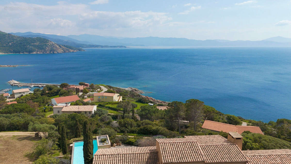 Casa Latina - photo 2