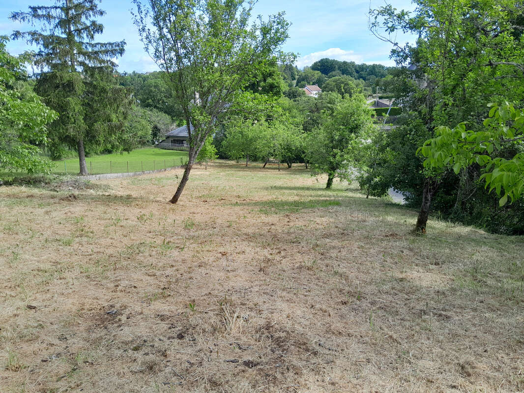 Terrain à SAVIGNAC
