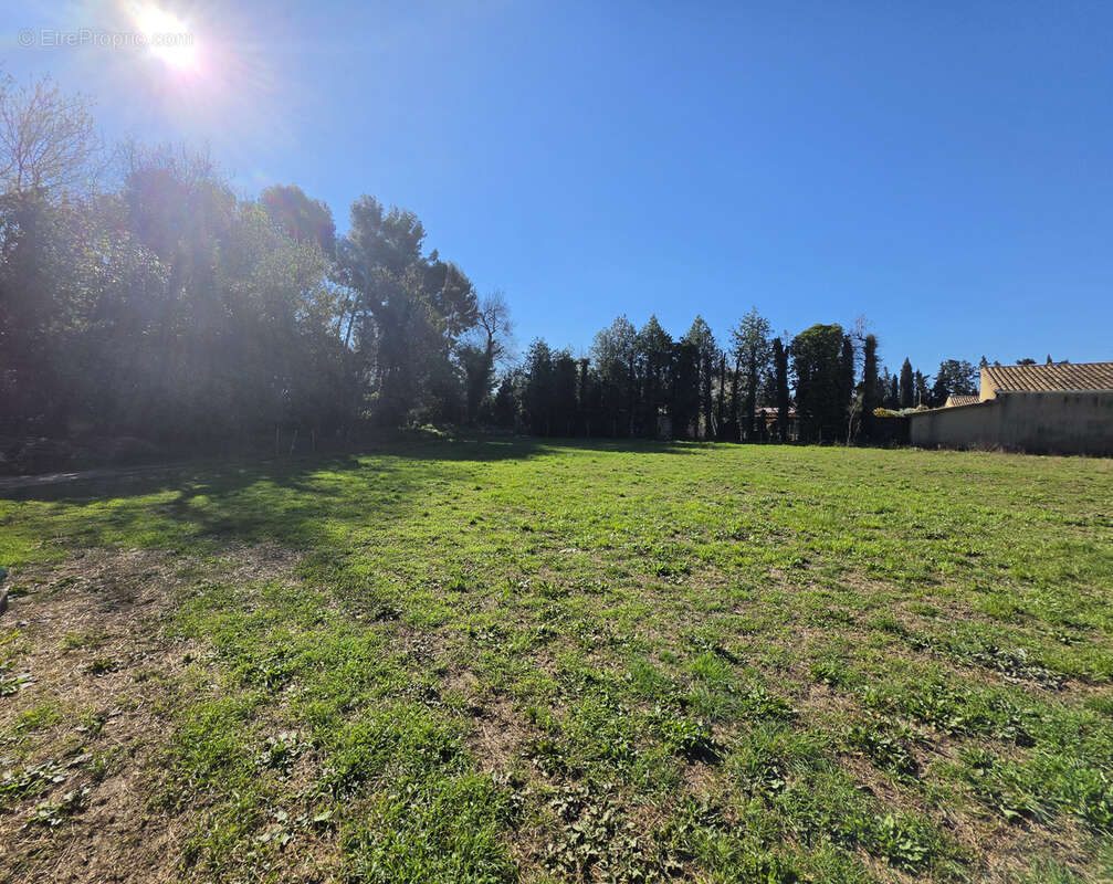 Terrain à MAUSSANE-LES-ALPILLES