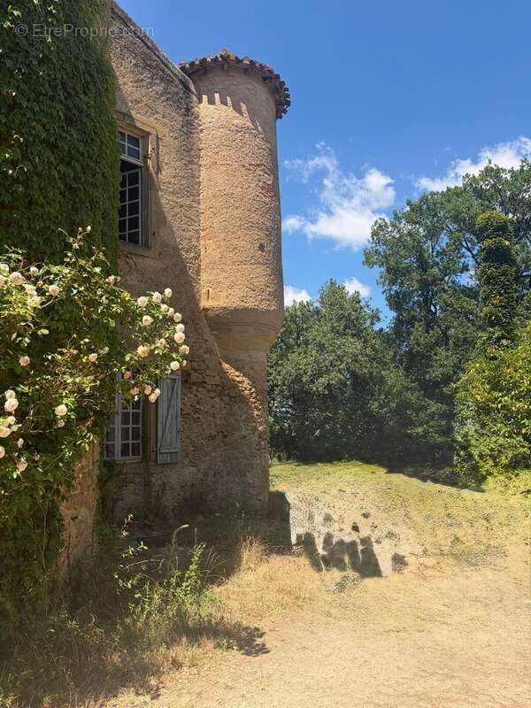 MARCIAC(32): ancienne SEIGNEURIE avec BEAU CHATEAU XIV sur 3,5ha, cachée, au bout du chemin, sans voisin, en campagne, 500m2 hab - photo 68
