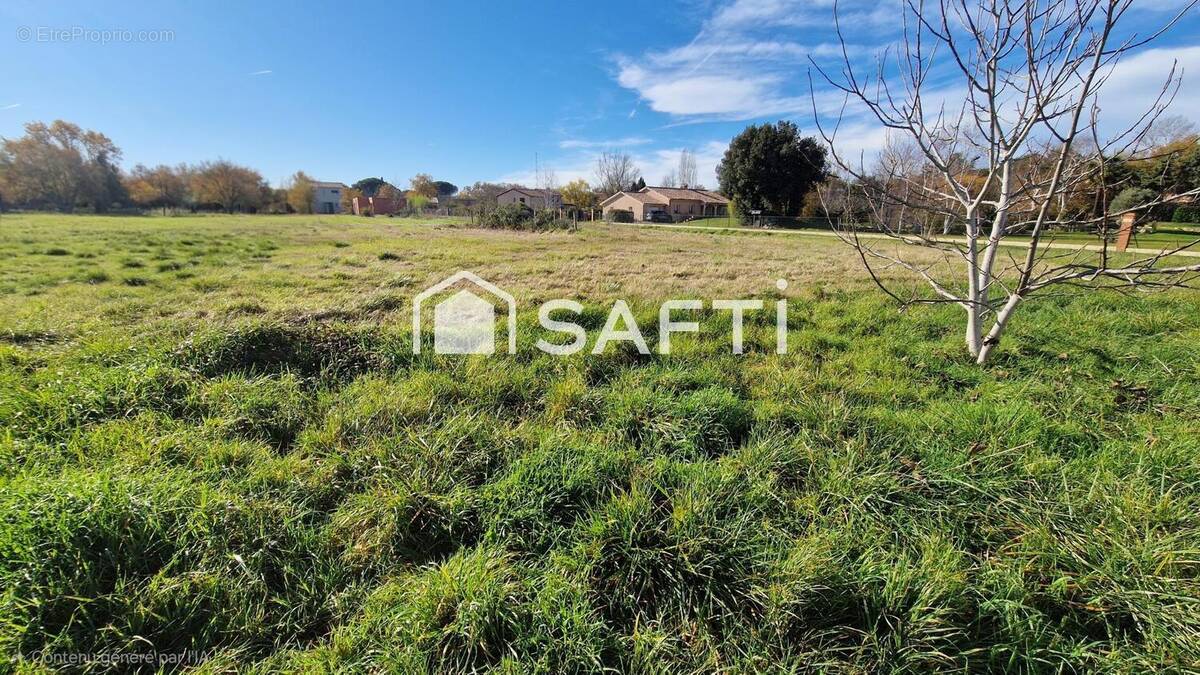 Photo 1 - Terrain à MURET