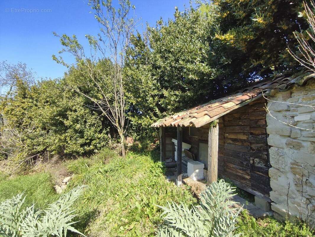 Maison de village de caractère cour, terrasses et jardin - Montmoirac - photo 12