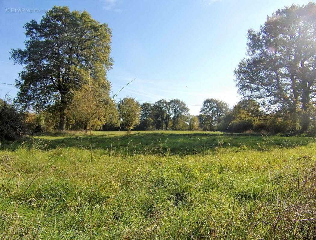 Maison de campagne sur 14 hectares à 280m du 1er voisin ! - photo 3